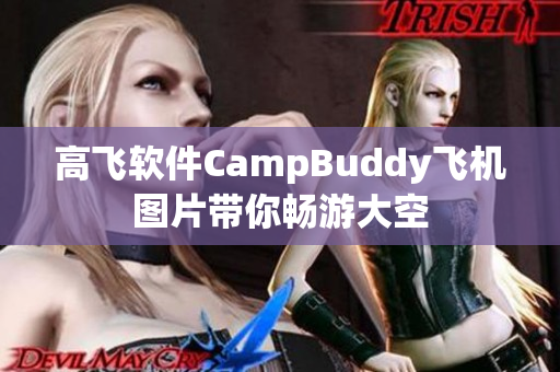 高飛軟件CampBuddy飛機(jī)圖片帶你暢游大空