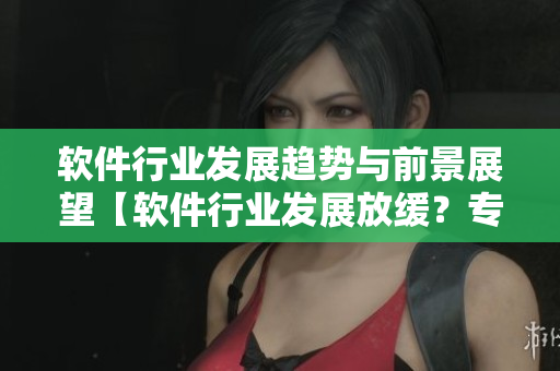 軟件行業(yè)發(fā)展趨勢與前景展望【軟件行業(yè)發(fā)展放緩？專家分析未來前景】