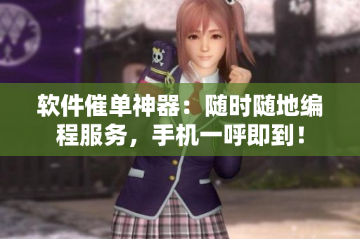 軟件催單神器：隨時隨地編程服務(wù)，手機一呼即到！