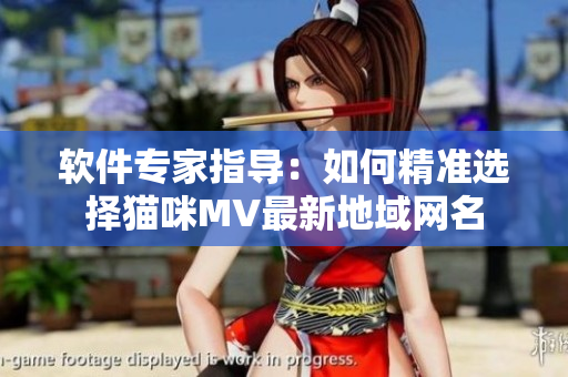 軟件專家指導(dǎo)：如何精準(zhǔn)選擇貓咪MV最新地域網(wǎng)名