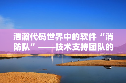 浩瀚代碼世界中的軟件“消防隊”——技術(shù)支持團隊的重要性