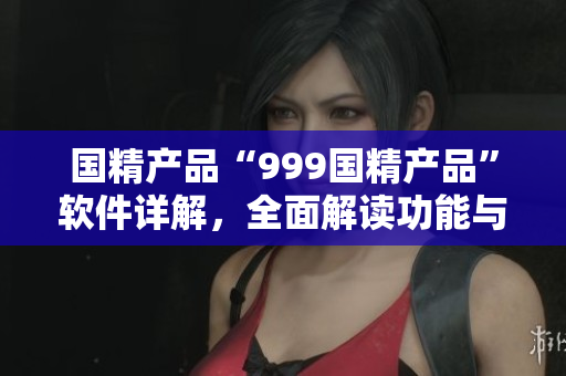 國(guó)精產(chǎn)品“999國(guó)精產(chǎn)品”軟件詳解，全面解讀功能與特點(diǎn)