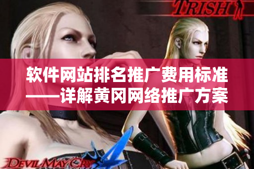 軟件網(wǎng)站排名推廣費(fèi)用標(biāo)準(zhǔn)——詳解黃岡網(wǎng)絡(luò)推廣方案