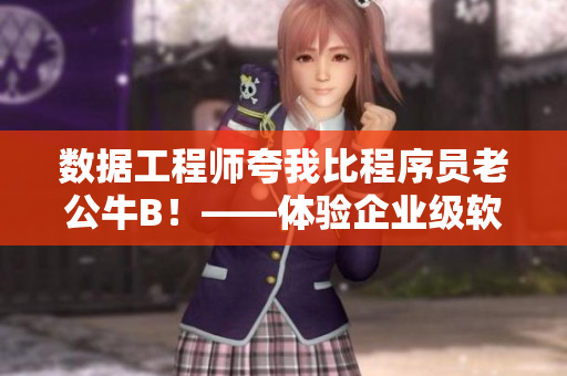 數(shù)據(jù)工程師夸我比程序員老公牛B！——體驗企業(yè)級軟件開發(fā)的巔峰之作