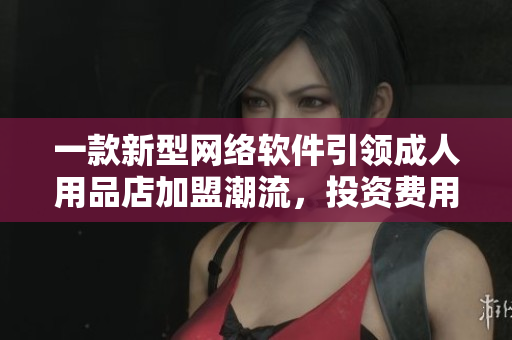 一款新型網(wǎng)絡軟件引領成人用品店加盟潮流，投資費用揭秘