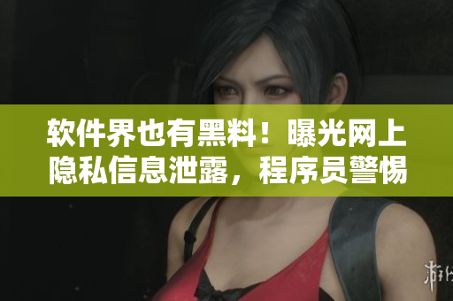 軟件界也有黑料！曝光網(wǎng)上隱私信息泄露，程序員警惕數(shù)據(jù)安全