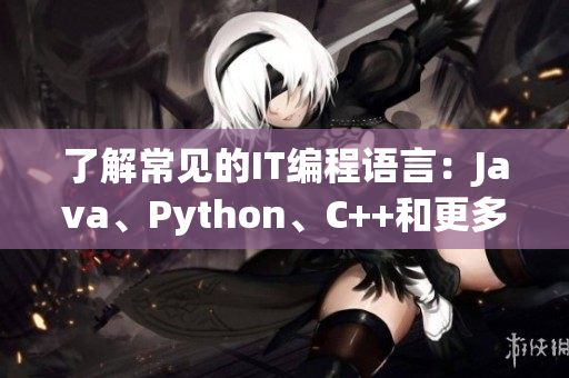 了解常見的IT編程語言：Java、Python、C++和更多！