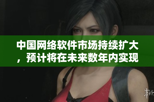 中國網(wǎng)絡軟件市場持續(xù)擴大，預計將在未來數(shù)年內(nèi)實現(xiàn)穩(wěn)定增長