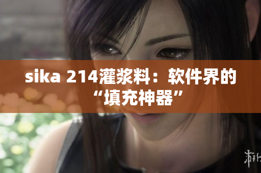 sika 214灌漿料：軟件界的“填充神器”