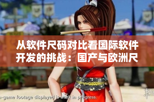 從軟件尺碼對(duì)比看國際軟件開發(fā)的挑戰(zhàn)：國產(chǎn)與歐洲尺碼表差異研究
