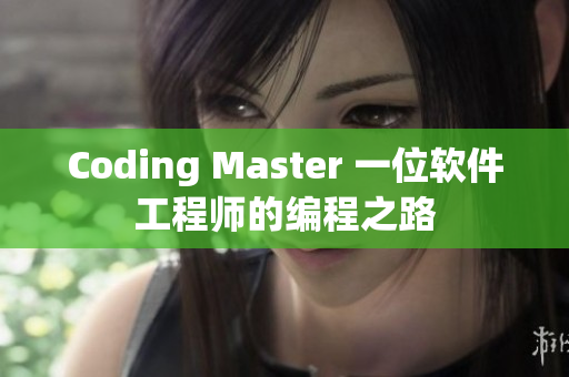 Coding Master 一位軟件工程師的編程之路