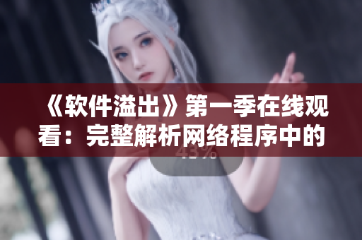 《軟件溢出》第一季在線觀看：完整解析網(wǎng)絡(luò)程序中的常見(jiàn)漏洞
