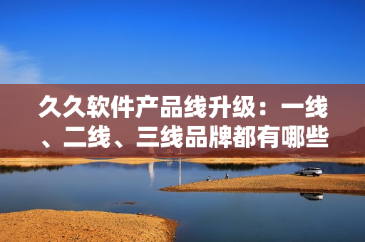 久久軟件產(chǎn)品線升級：一線、二線、三線品牌都有哪些產(chǎn)品？