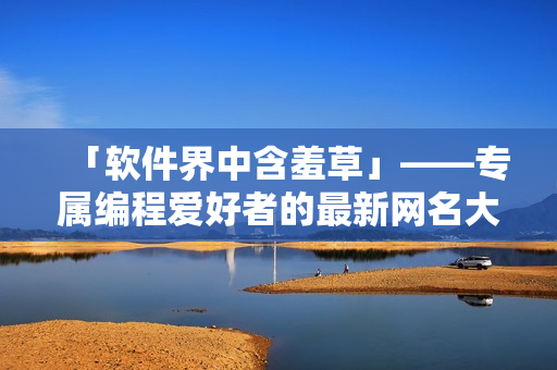 「軟件界中含羞草」——專屬編程愛好者的最新網(wǎng)名大全