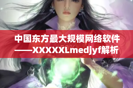 中國東方最大規(guī)模網(wǎng)絡軟件——XXXXXLmedjyf解析