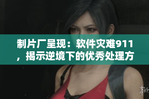 制片廠呈現(xiàn)：軟件災(zāi)難911，揭示逆境下的優(yōu)秀處理方式