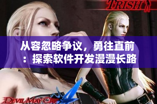 從容忽略爭議，勇往直前 ：探索軟件開發(fā)漫漫長路