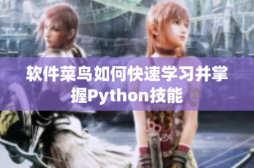 軟件菜鳥如何快速學習并掌握Python技能