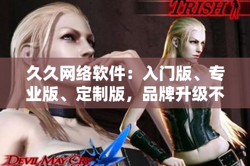 久久網(wǎng)絡軟件：入門版、專業(yè)版、定制版，品牌升級不止三線！