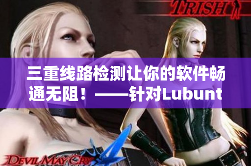 三重線路檢測(cè)讓你的軟件暢通無(wú)阻！——針對(duì)Lubuntu最佳線路的網(wǎng)絡(luò)穩(wěn)定方案
