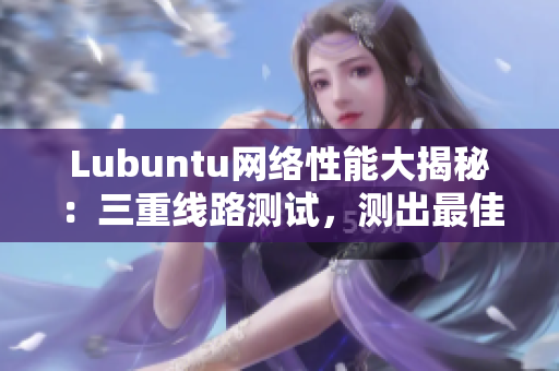 Lubuntu網(wǎng)絡(luò)性能大揭秘：三重線路測(cè)試，測(cè)出最佳網(wǎng)絡(luò)軟件運(yùn)行之路