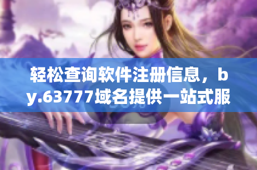 輕松查詢軟件注冊信息，by.63777域名提供一站式服務