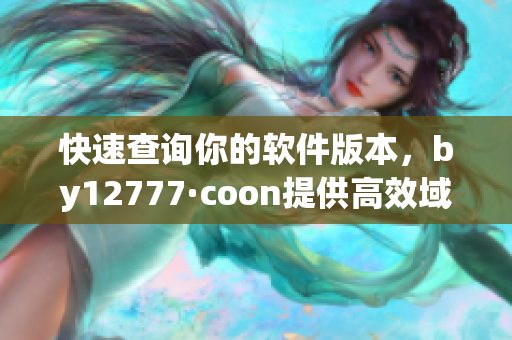 快速查詢你的軟件版本，by12777·coon提供高效域名查詢服務