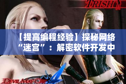 【提高編程經(jīng)驗(yàn)】探秘網(wǎng)絡(luò)“迷宮”：解密軟件開發(fā)中的困境與出路