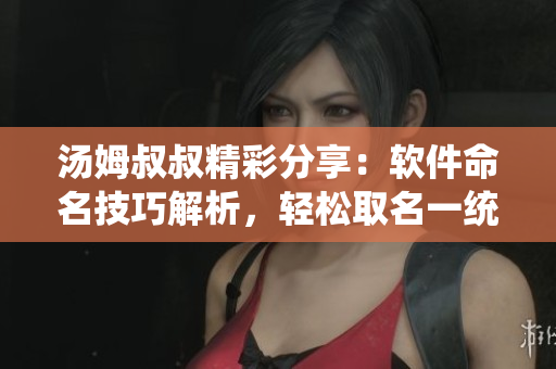 湯姆叔叔精彩分享：軟件命名技巧解析，輕松取名一統(tǒng)江湖