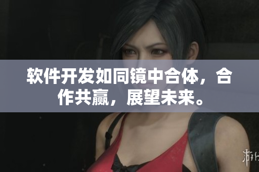 軟件開發(fā)如同鏡中合體，合作共贏，展望未來。