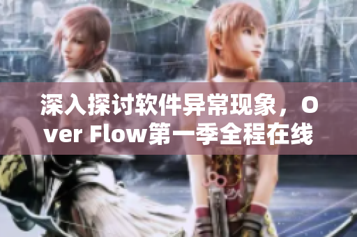 深入探討軟件異常現(xiàn)象，Over Flow第一季全程在線觀看