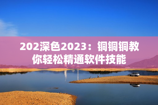 202深色2023：銅銅銅教你輕松精通軟件技能