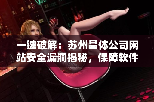 一鍵破解：蘇州晶體公司網(wǎng)站安全漏洞揭秘，保障軟件安全