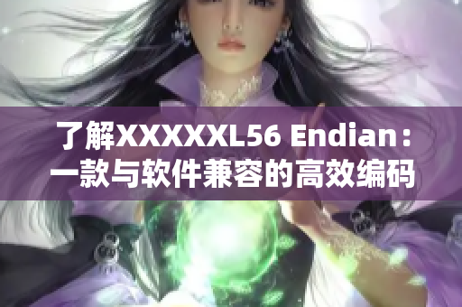 了解XXXXXL56 Endian：一款與軟件兼容的高效編碼工具