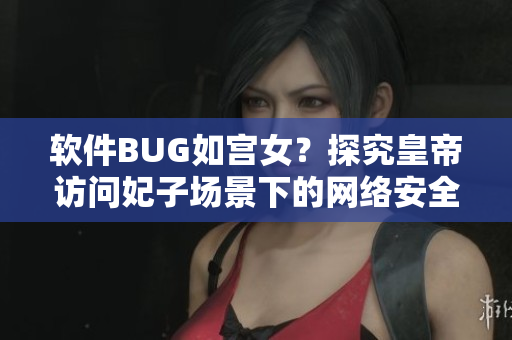 軟件BUG如宮女？探究皇帝訪問妃子場景下的網(wǎng)絡安全問題