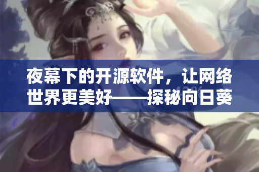 夜幕下的開源軟件，讓網(wǎng)絡(luò)世界更美好——探秘向日葵遠(yuǎn)程桌面分享工具