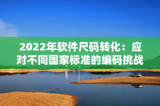 2022年軟件尺碼轉(zhuǎn)化：應(yīng)對(duì)不同國家標(biāo)準(zhǔn)的編碼挑戰(zhàn)