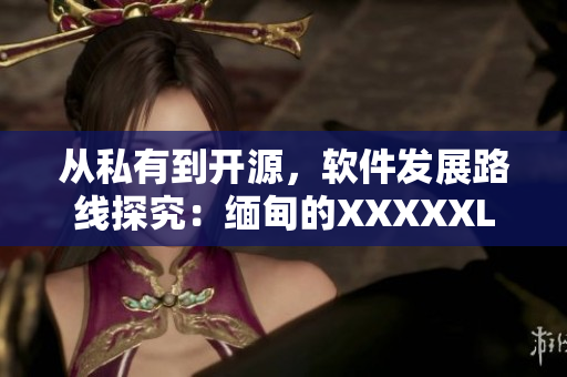 從私有到開源，軟件發(fā)展路線探究：緬甸的XXXXXL