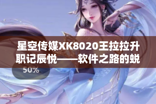 星空傳媒XK8020王拉拉升職記辰悅——軟件之路的蛻變歷程