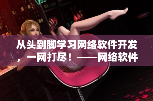 從頭到腳學(xué)習(xí)網(wǎng)絡(luò)軟件開(kāi)發(fā)，一網(wǎng)打盡！——網(wǎng)絡(luò)軟件開(kāi)發(fā)全指南