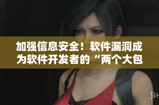 加強(qiáng)信息安全！軟件漏洞成為軟件開發(fā)者的“兩個(gè)大包包”
