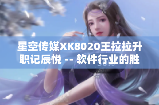 星空傳媒XK8020王拉拉升職記辰悅 -- 軟件行業(yè)的勝利征程