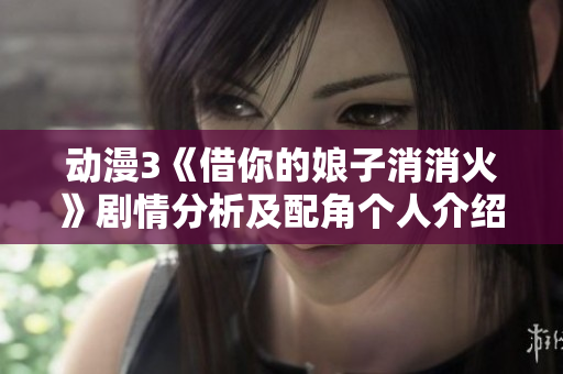 動漫3《借你的娘子消消火》劇情分析及配角個人介紹