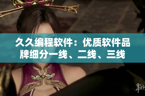久久編程軟件：優(yōu)質軟件品牌細分一線、二線、三線