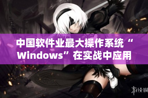 中國(guó)軟件業(yè)最大操作系統(tǒng)“Windows”在實(shí)戰(zhàn)中應(yīng)用全記載