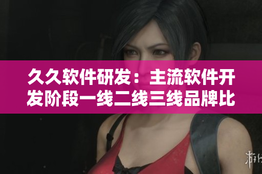 久久軟件研發(fā)：主流軟件開發(fā)階段一線二線三線品牌比較