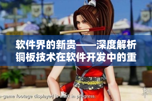 軟件界的新貴——深度解析銅板技術(shù)在軟件開發(fā)中的重要作用