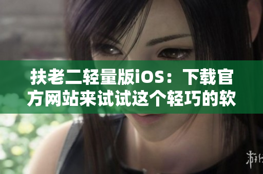 扶老二輕量版iOS：下載官方網(wǎng)站來試試這個輕巧的軟件