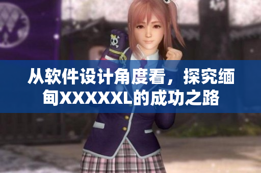 從軟件設計角度看，探究緬甸XXXXXL的成功之路