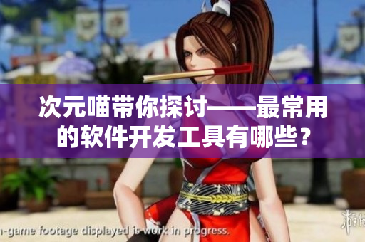 次元喵帶你探討——最常用的軟件開發(fā)工具有哪些？